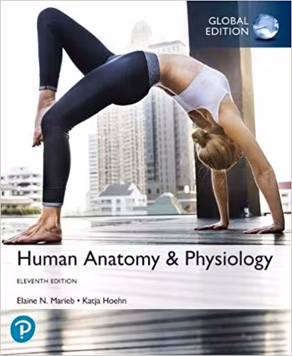 خرید و دانلود نسخه کامل کتاب Human Anatomy & Physiology, Global Edition 11th ed