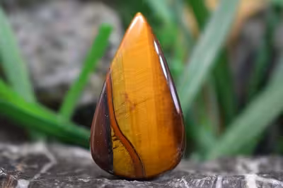 چشم ببر اشکی جذاب