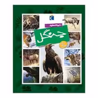 دایره المعارف جنگل زرکوب رقعی محراب قلم - کتاب‌فروشی کوچه کتاب