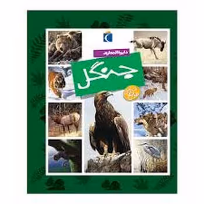 دایره المعارف جنگل زرکوب رقعی محراب قلم - کتاب‌فروشی کوچه کتاب