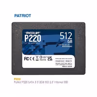 حافظه اس اس دی 512 گیگابایت P220