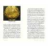 کتاب Islamic Civilization in Thirty Lives اثر Chase F. Robinson انتشارات  تیمز و هادسون