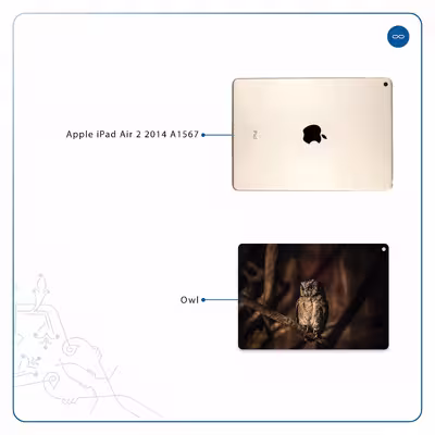 برچسب پوششی ماهوت مدل Owl مناسب برای تبلت اپل iPad Air 2 2014 A1567
