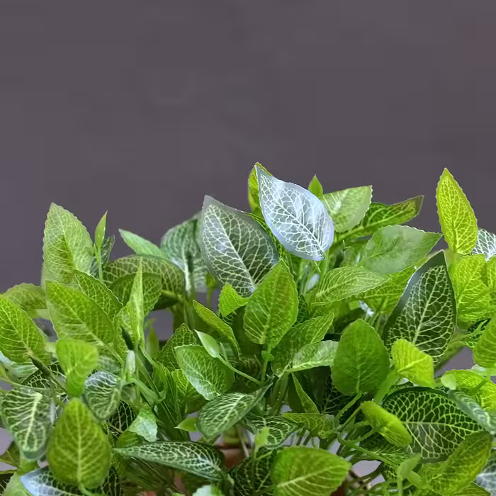 گل مصنوعی مدل بوته برگ لمسی طرح گردو