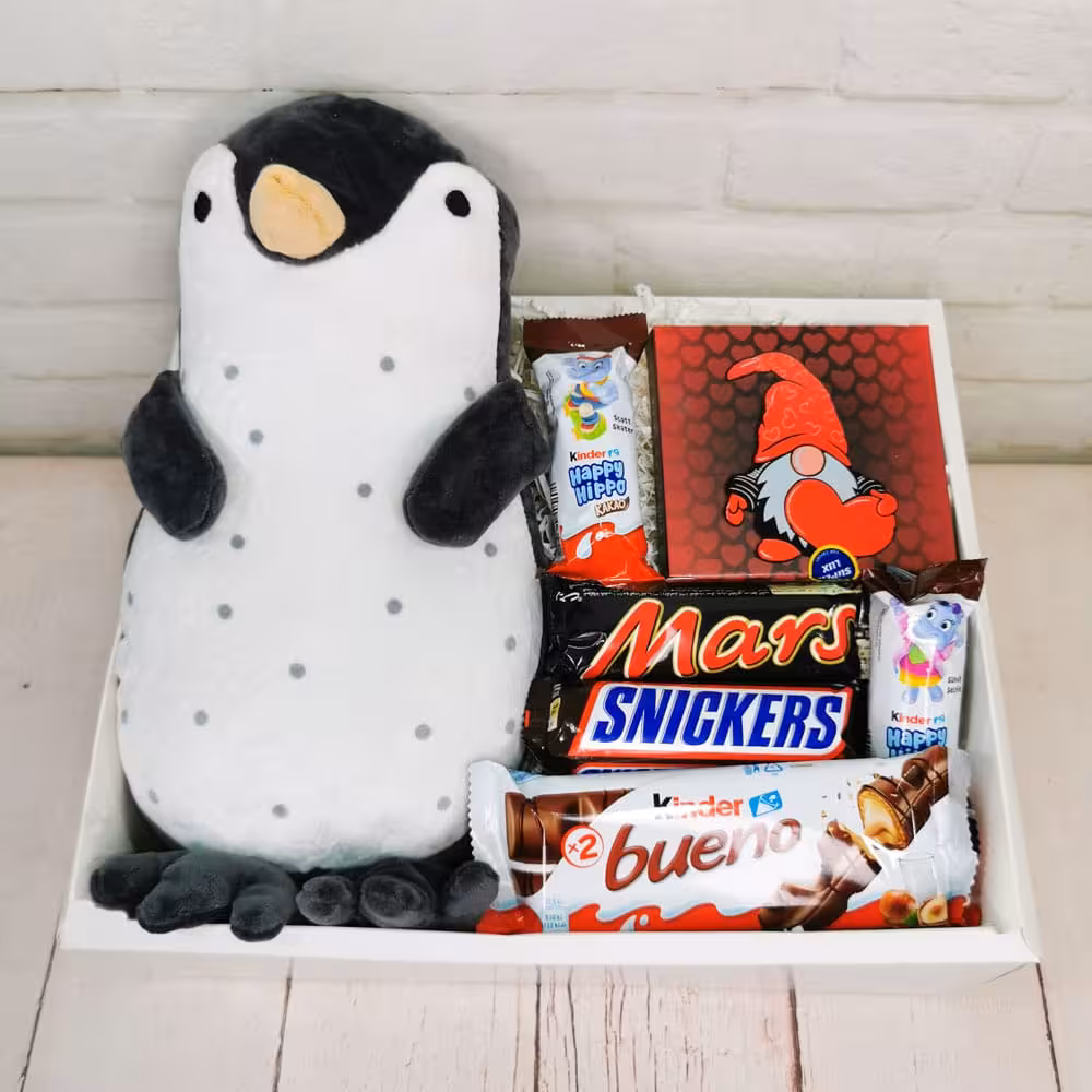 باکس هدیه دخترانه کد G663