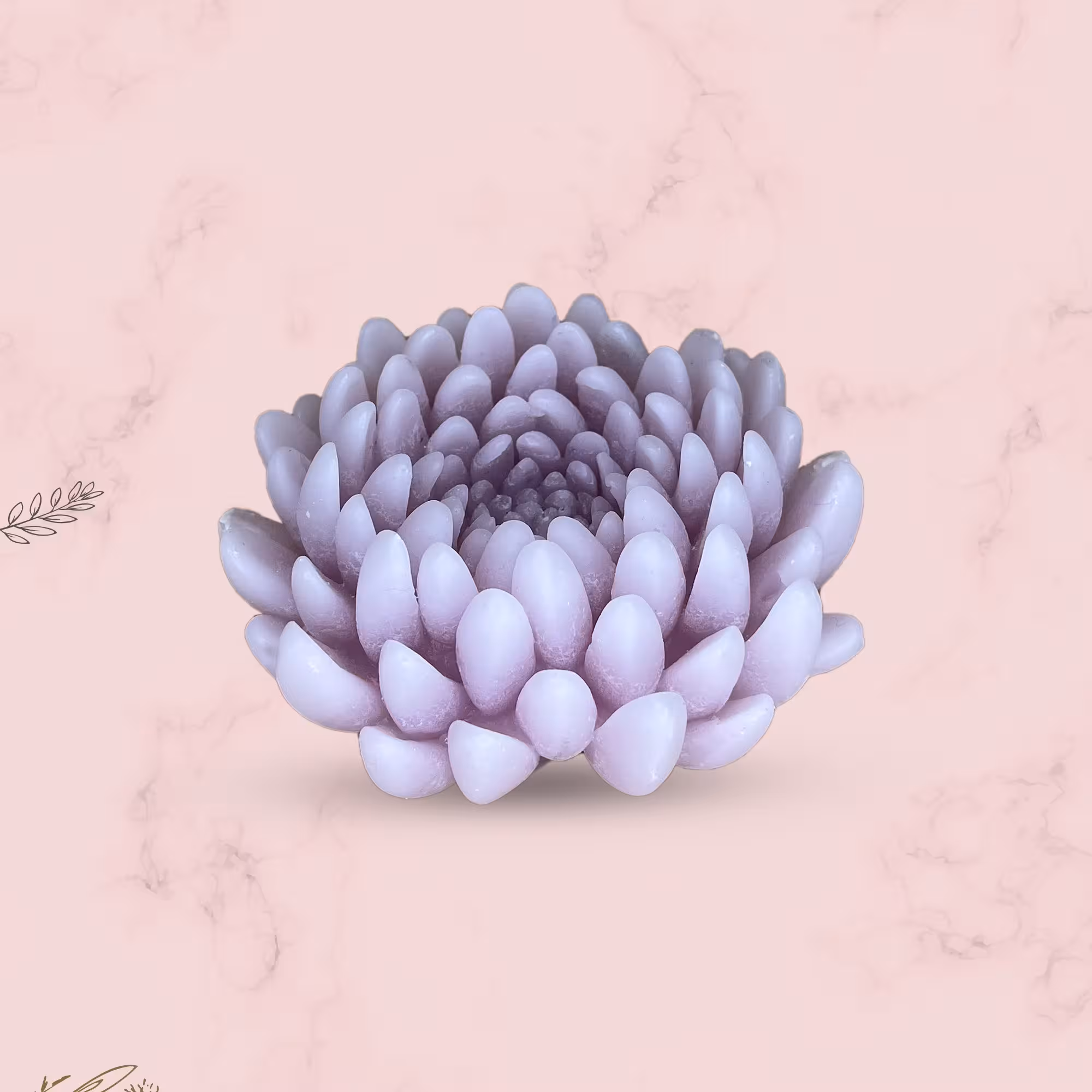 شمع گل داوودی