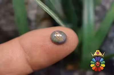 اپال سیاه اتیوپی