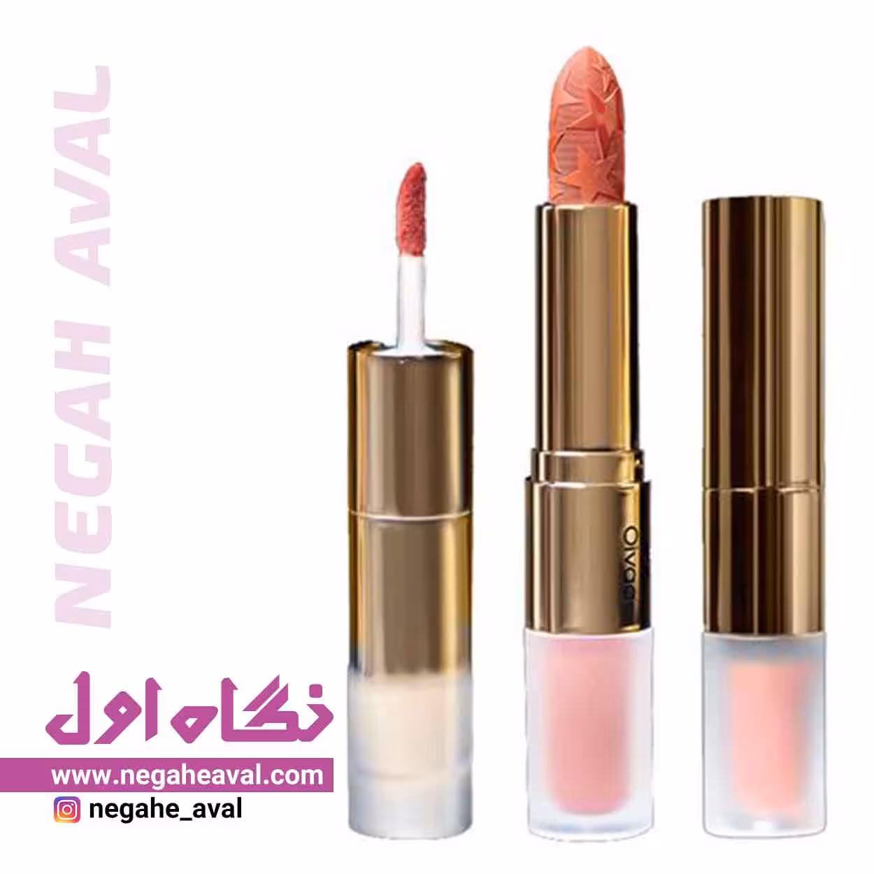 رژلب دوطرفه جامد و مایع اویوا پاریس شماره 04