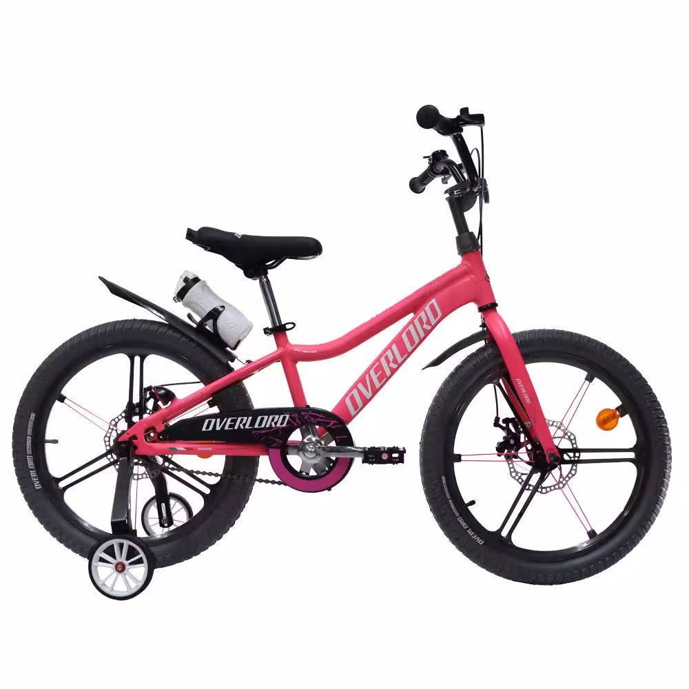 دوچرخه اورلرد سایز 20 مدل OVERLORD OV-8000 دیسکی