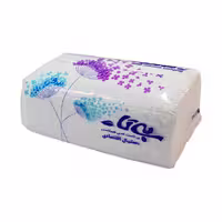 دستمال کاغذی اقتصادی بی تا 100 برگ دو لا