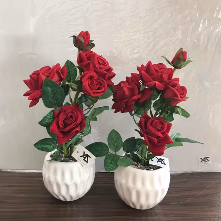 گلدان رز جدید