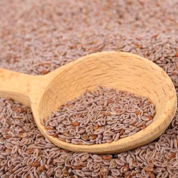 گیاه دارویی اسفرزه(100گرمی )