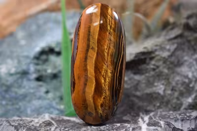 چشم ببر اهنی