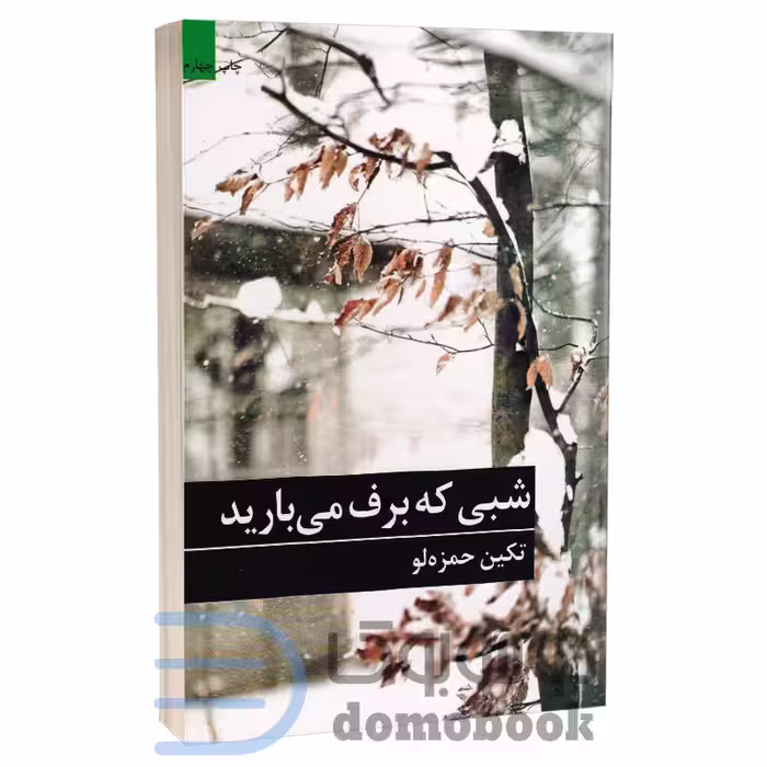 کتاب شبی که برف می بارید اثر تکین حمزه لو انتشارات برکه خورشید
