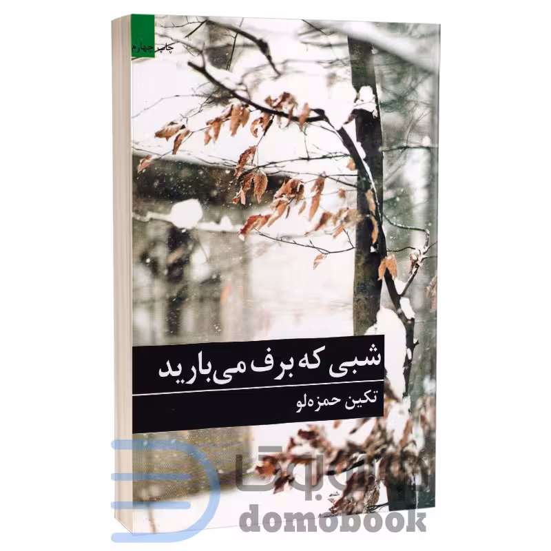 کتاب شبی که برف می بارید اثر تکین حمزه لو انتشارات برکه خورشید