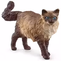 گربه رگدال اشلایش Schleich