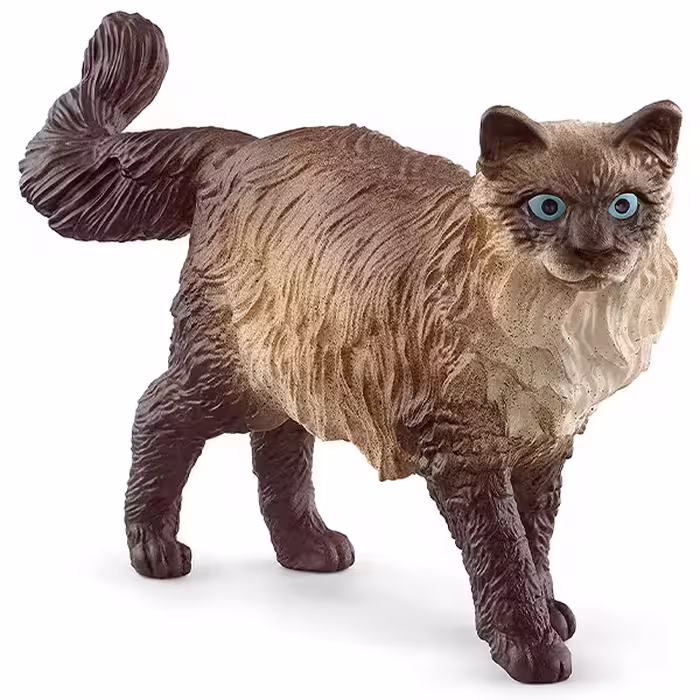 گربه رگدال اشلایش Schleich