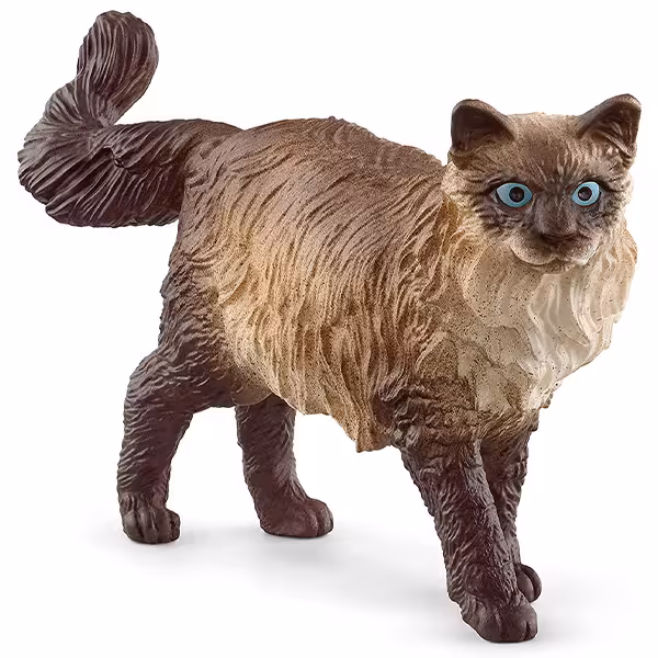 گربه رگدال اشلایش Schleich