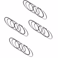 رینگ موتور ان ای خودرو پژو پارس