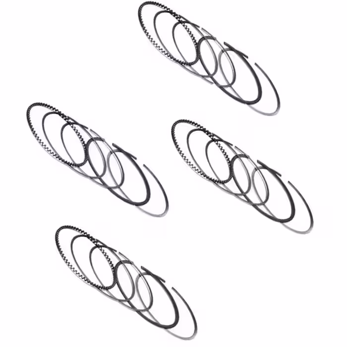 رینگ موتور ان ای خودرو پژو پارس