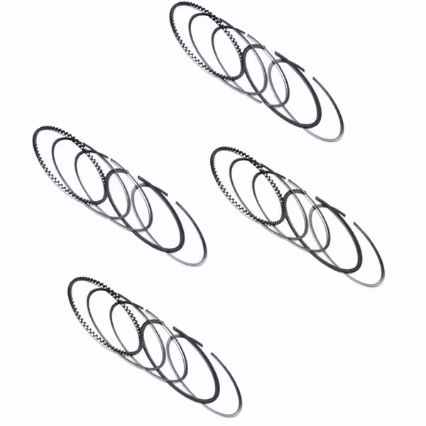 رینگ موتور ان ای خودرو پژو پارس