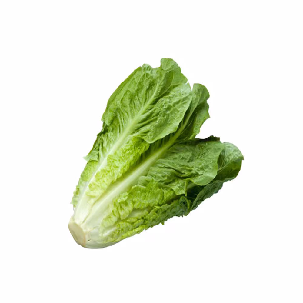 کاهو
