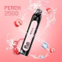 پاد یکبار مصرف بالی 2500 پاف Bali 2500 Puff — پاد سبک، خوش‌طعم و اقتصادی طعمبندی مختلف