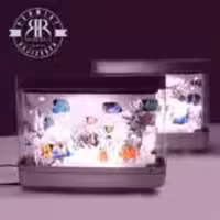 GL جی ال  ماهی دورو کوچک 218