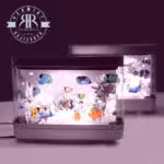 GL جی ال  ماهی دورو کوچک 218