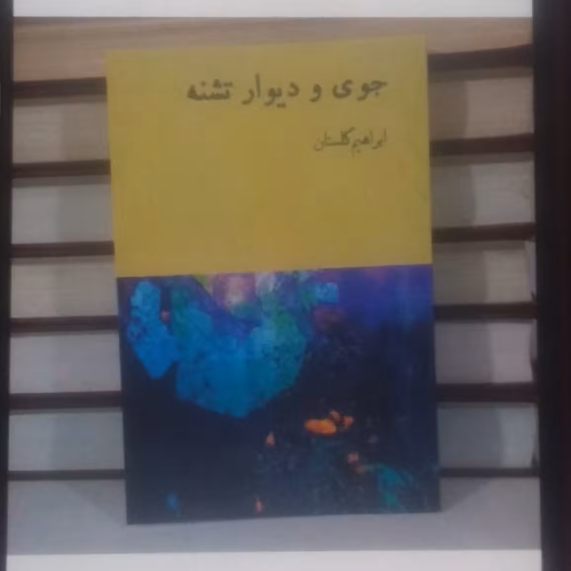 کتاب جوی و دیوار تشنه