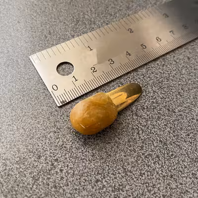 مضراب تار مدل فاخته