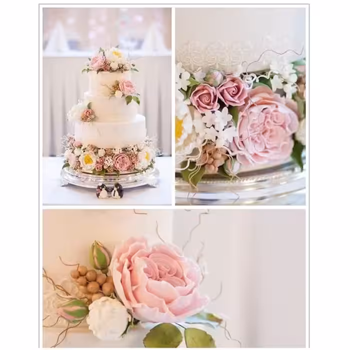 ابزار تزیین کیک بهگز مدل گل رز مجموعه 9 عددی