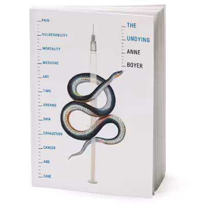 کتاب The Undying اثر Anne Boyer انتشارات Macmillan Publishers