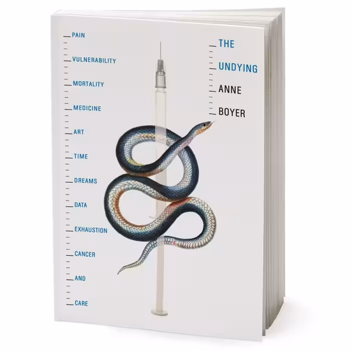 کتاب The Undying اثر Anne Boyer انتشارات Macmillan Publishers