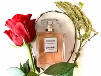 عطر ادکلن شنل کوکو مادمازل اینتنس اصل | Chanel Coco Mademoiselle Intense 100ml