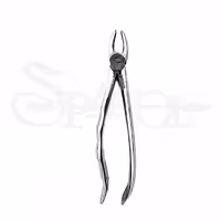 فورسپس اناتومیک مولر بالا راست دنتال دیوایسDental Devices