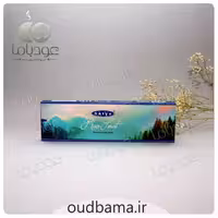 عود دستساز جنگل بارانی رین فورست RAIN FOREST ( ساتیا SATYA )