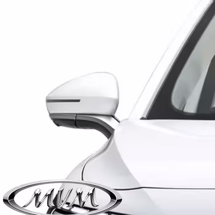 آینه بغل راست آریزو 8