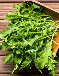 بذر راکولا شاهی ایتالیایی (راکت)