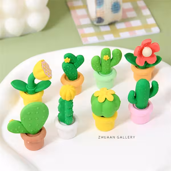 پاک کن سه بعدی گل و کاکتوس