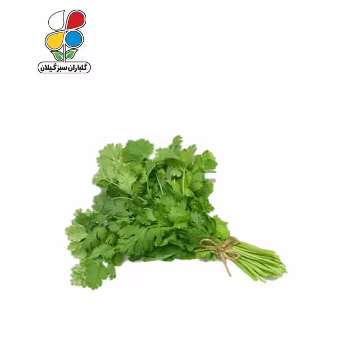 بذر گشنیز بسته سه عددی