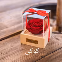 رز جاودان دکوفیوره مدل جعبه موزیکال  وودی لاو کوکی