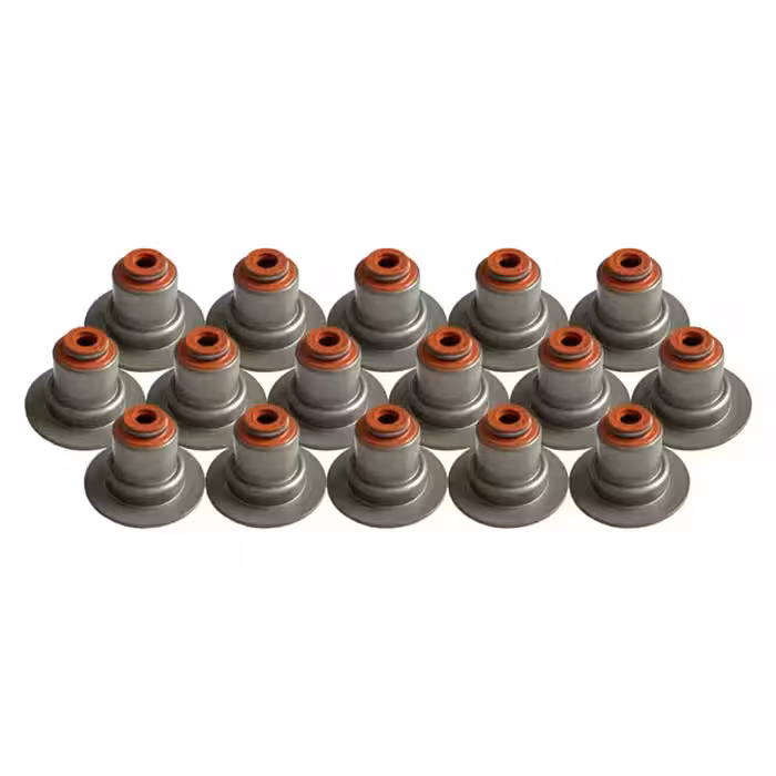 كاسه نمد ساق سوپاپ اورجینال تندر 90 ( ال90 )