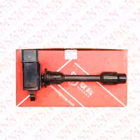 کوئل ماکسیما