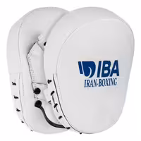 میت بوکس aiba pro WB