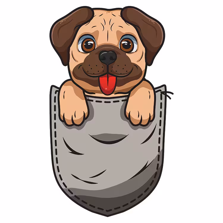 استیکر پارچه و لباس مدل دی تی اف طرح جیبی کد H10.124 مجموعه 5 عددی