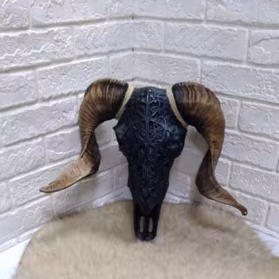 کله قوچ دیواری