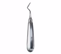 الواتور اپیکال راست فتاح طب 1256 Fattahteb