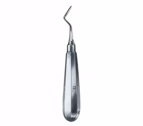 الواتور اپیکال راست فتاح طب 1256 Fattahteb