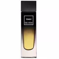 Chick N' Glam Trendy EDP 100 ml - ادوپرفیوم مردانه چیک اند گلام ترندی حجم 100 میلی‌لیتر - نگین عطر